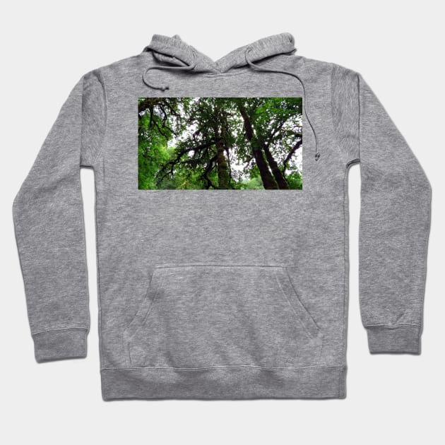 Silver Falls State Park Oregon Hoodie by supernova23